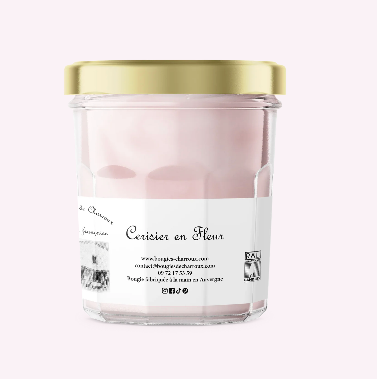 Cerisier en Fleur