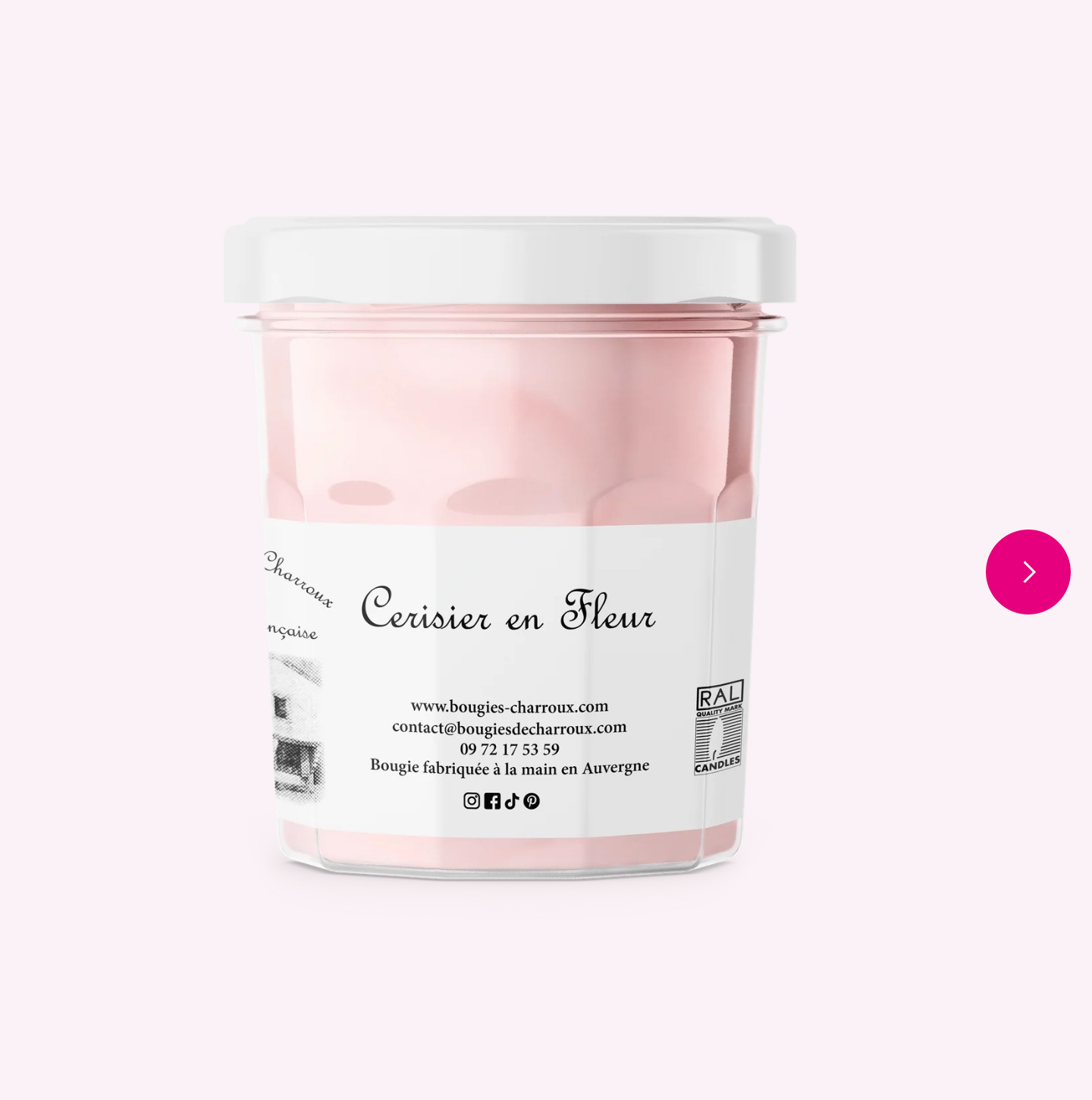 Cerisier en Fleur